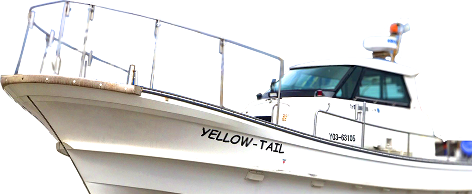 Yellow Tail 広島 真鯛専門の遊漁船